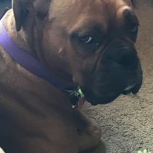 Meet your Posher, Renee